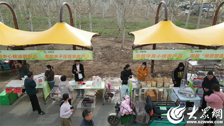 匠心傳承，共富同行 廣饒縣李鵲鎮(zhèn)“好品李鵲共富市集”上的麥秸畫(huà)藝術(shù)